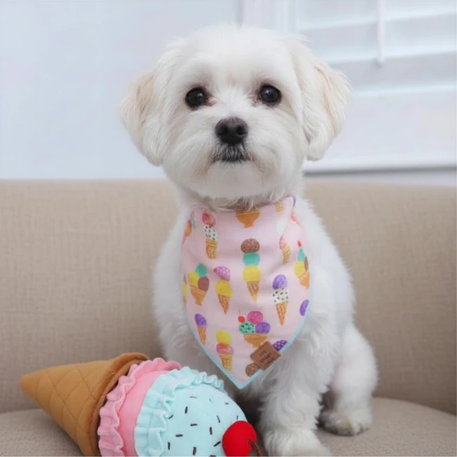 the-foggy-dog-lod-zabawka-wechowa-dla-psa.png