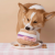 the foggy-dog-bajgel-zabawka-wechowa-dla-psa.png