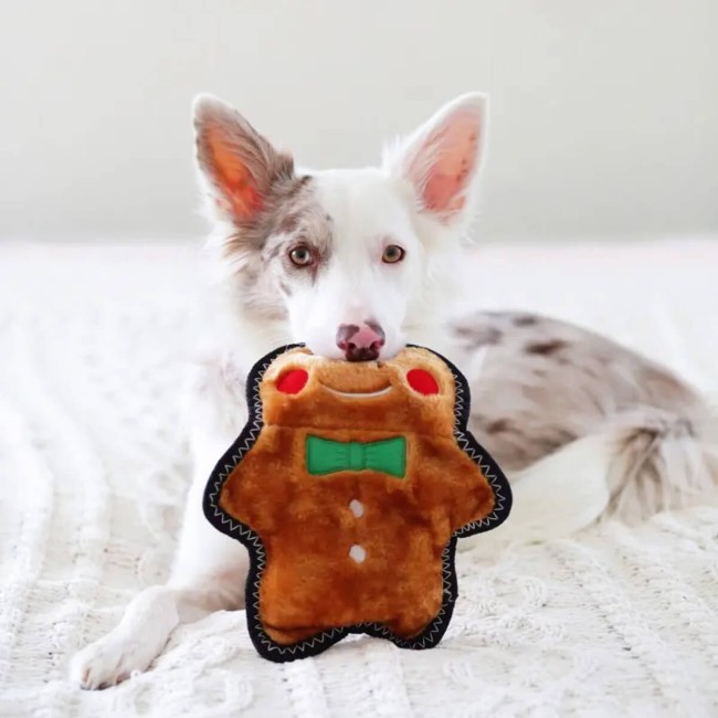 ZippyPaws Piernikowy ludzik wzmacniany
