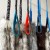 Szarpak dla psa Black Bones Turkus